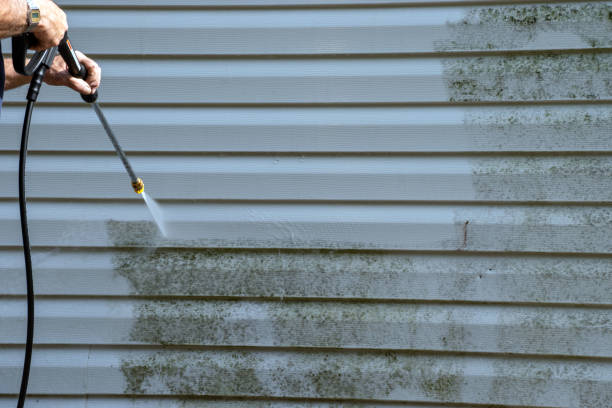 Best Hoarding Cleanup  in Ringgold, LA